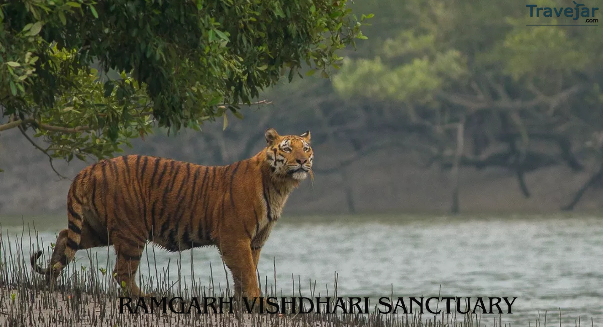 Ramgarh Vishdhari Sanctuary